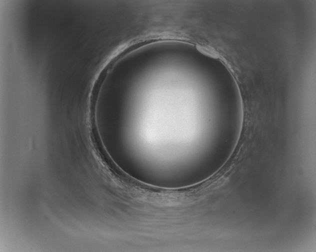 X0000071950008200607071222