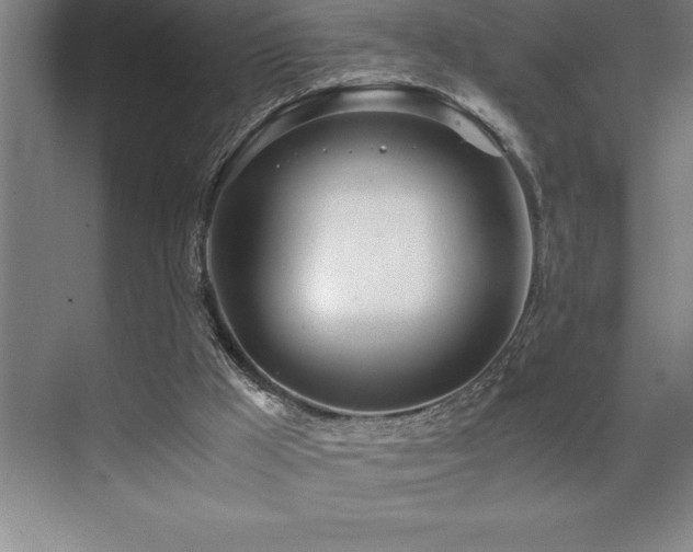 X0000071950009200607071222