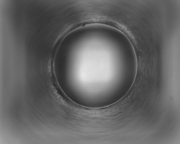 X0000071950010200607071222