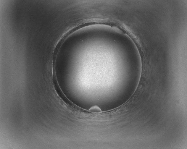 X0000071950011200607071222