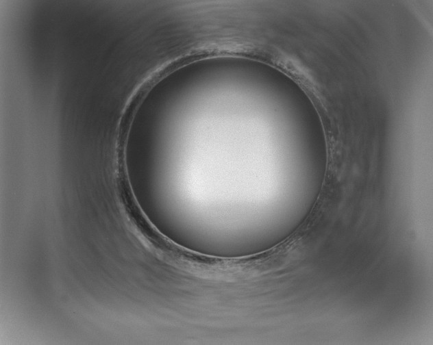 X0000071950012200607071222