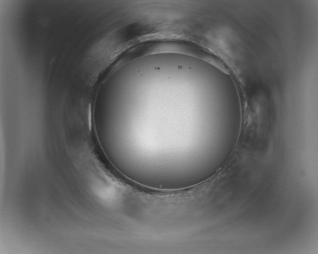 X0000071950013200607071222