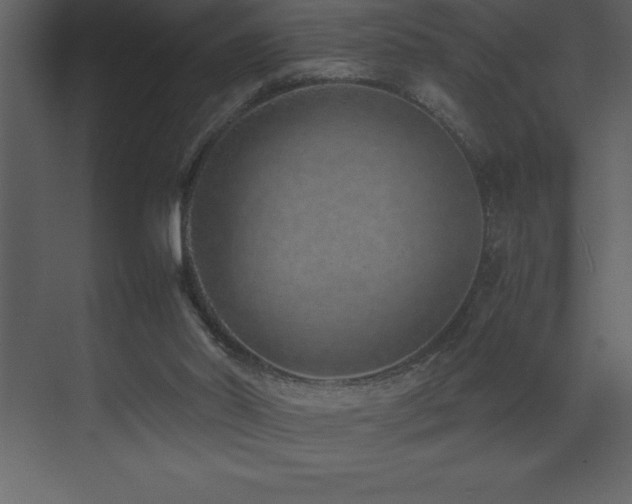 X0000071950014200607071222