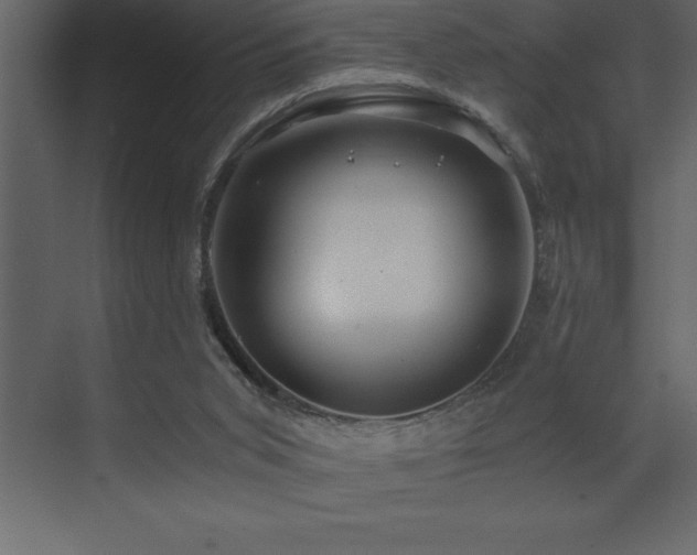 X0000071950015200607071222