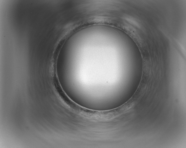 X0000071950016200607071222