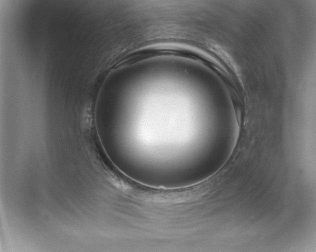 X0000071950017200607071222