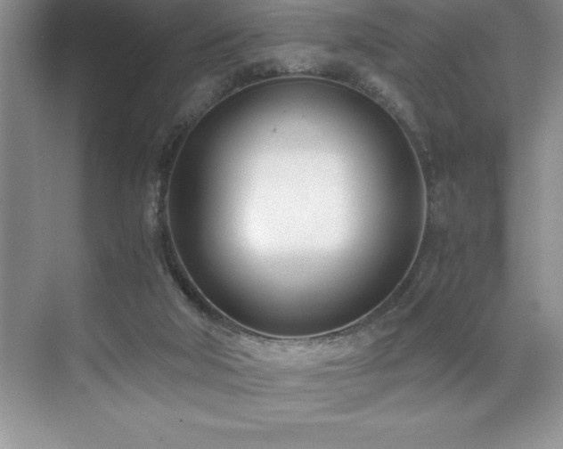 X0000071950018200607071222