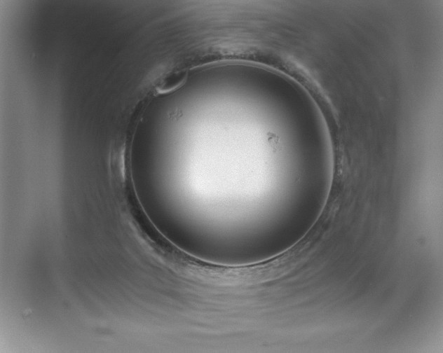 X0000071950019200607071222