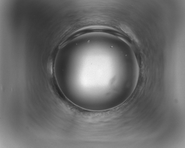 X0000071950021200607071222