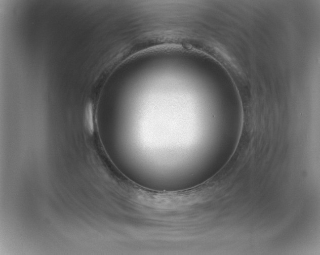 X0000071950022200607071222