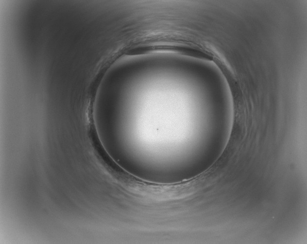 X0000071950023200607071222