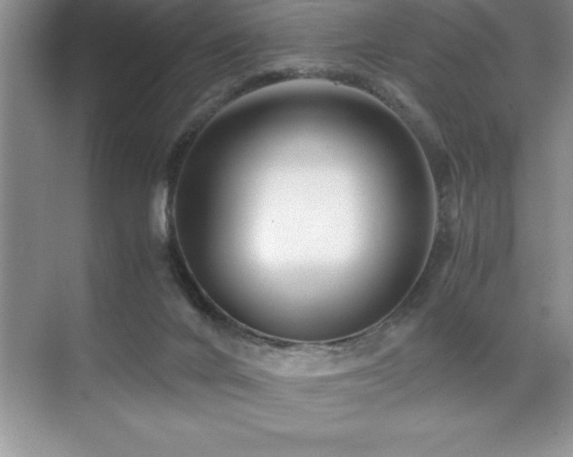 X0000071950024200607071222