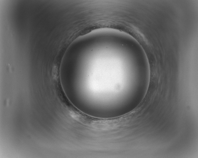 X0000071950025200607071222