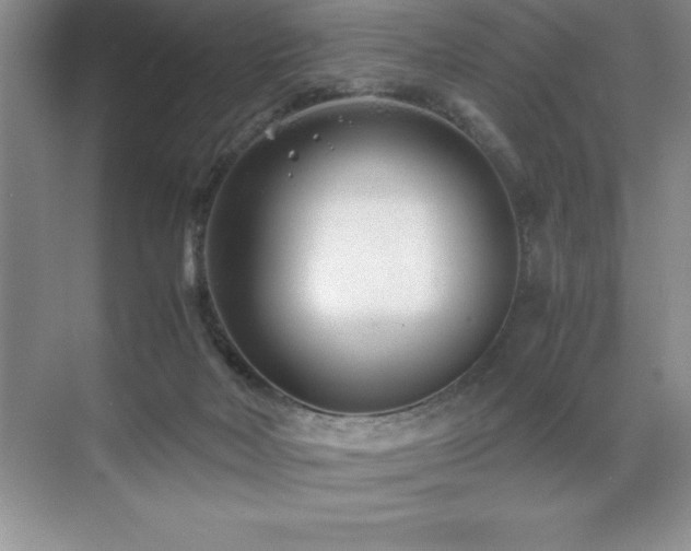 X0000071950026200607071222