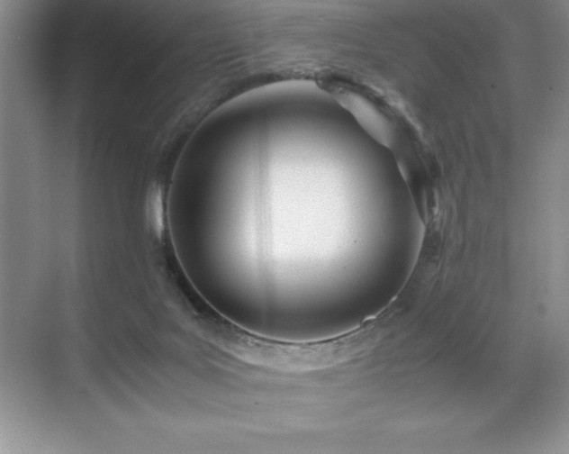 X0000071950027200607071221