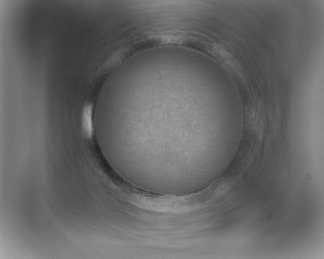 X0000071950028200607071221