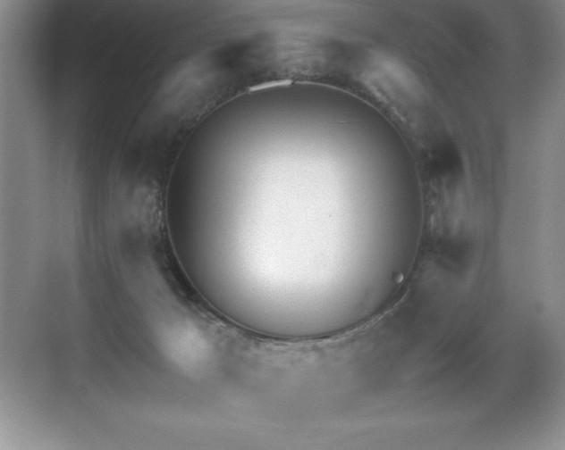 X0000071950029200607071221