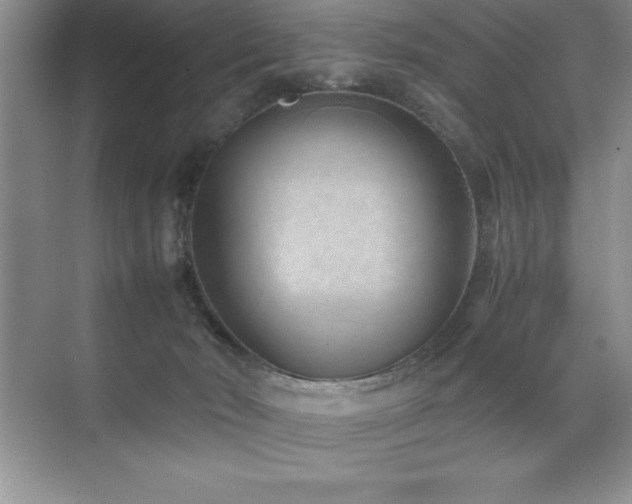 X0000071950030200607071221