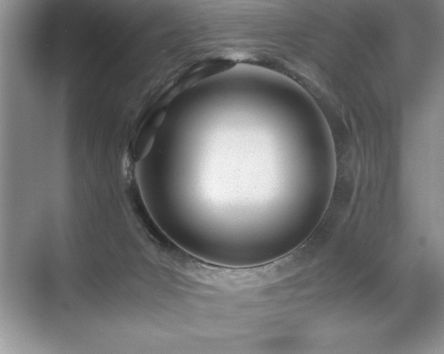 X0000071950031200607071221