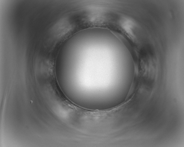 X0000071950033200607071221