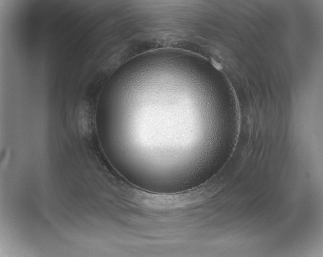 X0000071950034200607071221