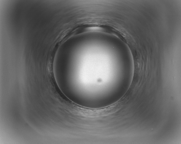 X0000071950035200607071221