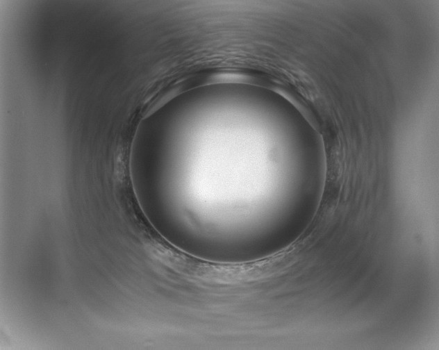 X0000071950037200607071221