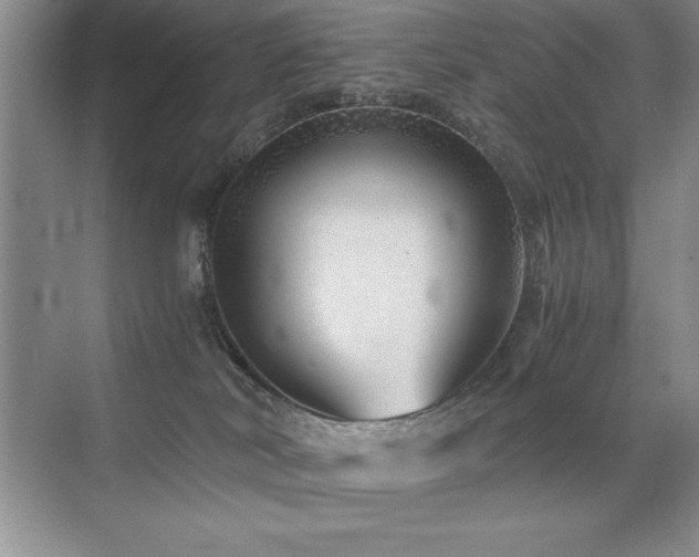 X0000071950038200607071221