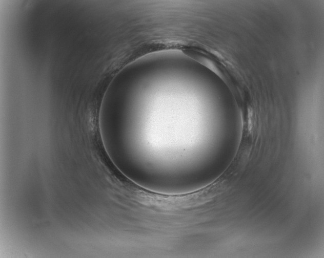 X0000071950039200607071221