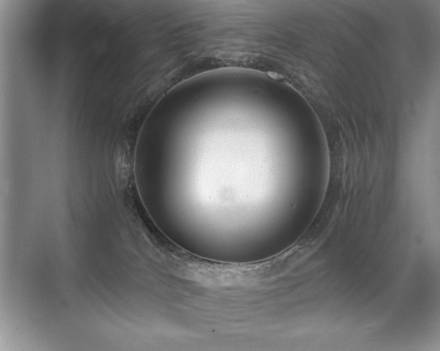 X0000071950040200607071221