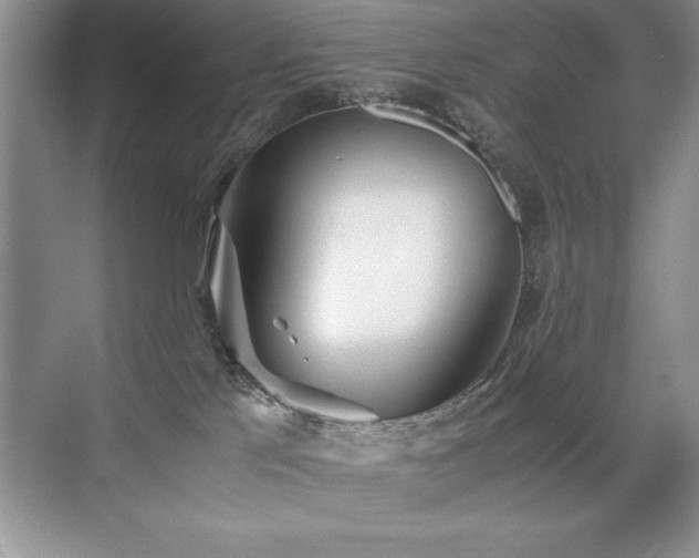 X0000071950041200607071221