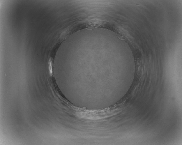 X0000071950042200607071221