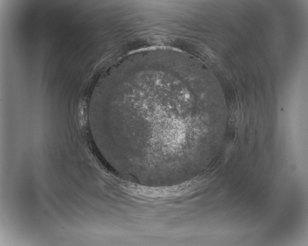 X0000071950043200607071221