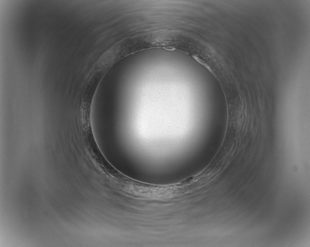 X0000071950044200607071221