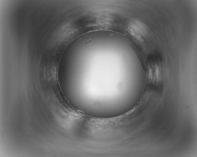 X0000071950045200607071221