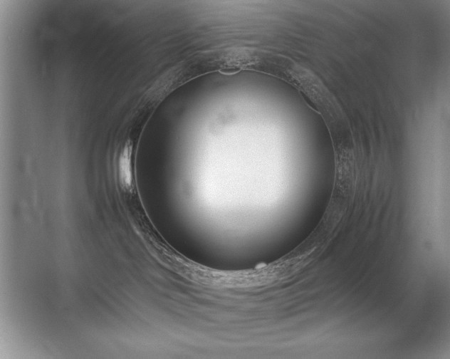 X0000071950046200607071221