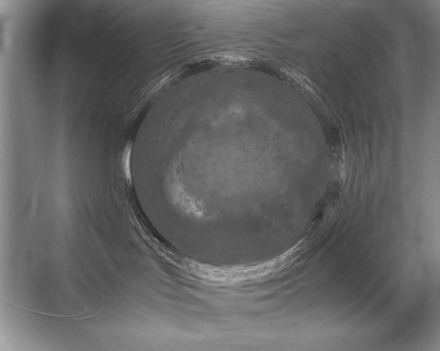 X0000071950047200607071221