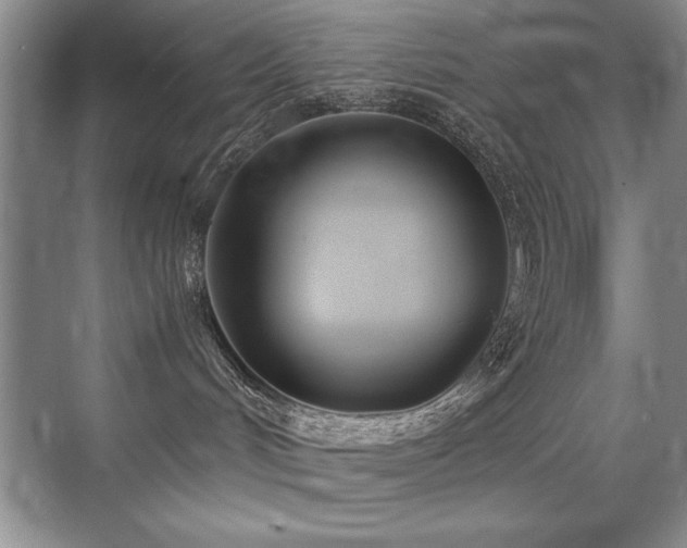 X0000071950048200607071221