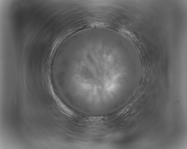 X0000071950049200607071220