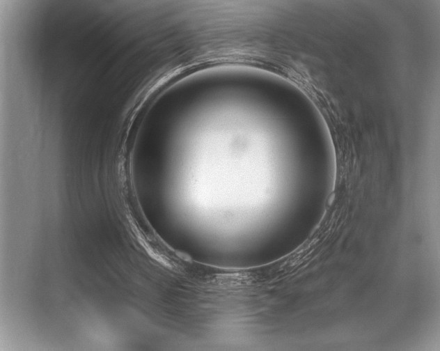 X0000071950050200607071220