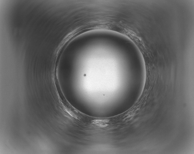 X0000071950051200607071220