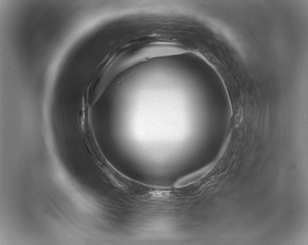 X0000071950052200607071220