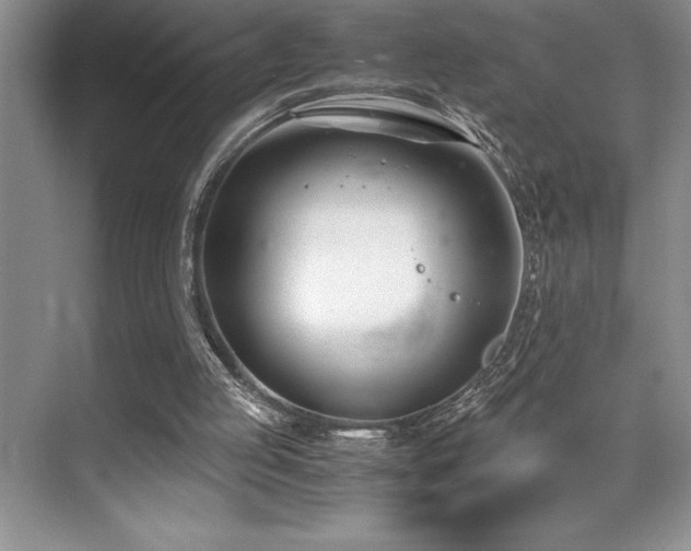 X0000071950053200607071220