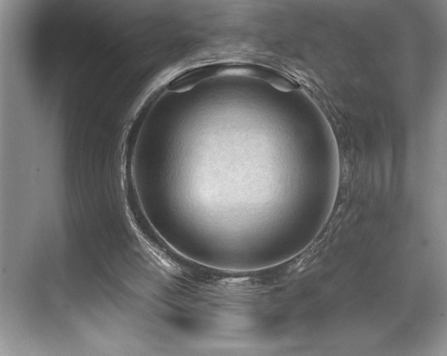 X0000071950054200607071220