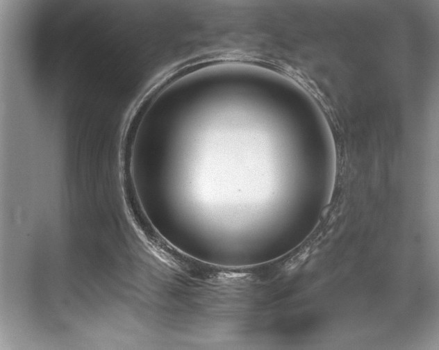 X0000071950055200607071220