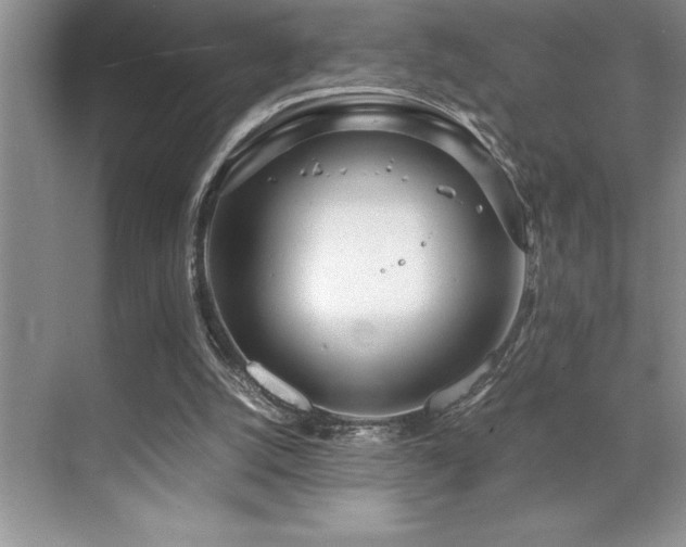 X0000071950056200607071220