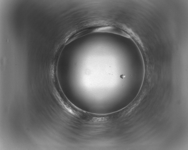 X0000071950057200607071220