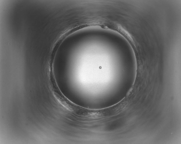 X0000071950059200607071220