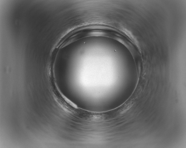 X0000071950060200607071221