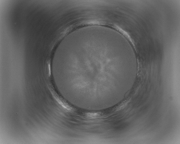 X0000071950061200607071221